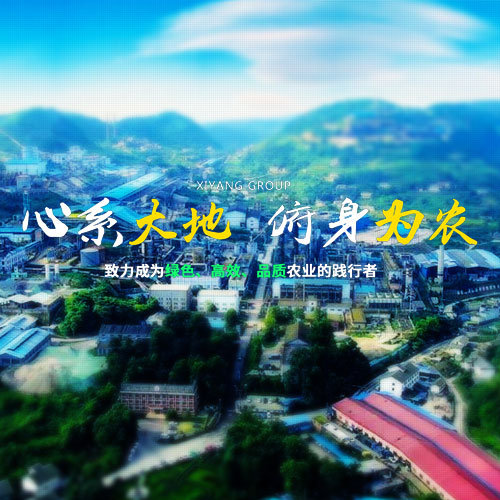 贵州西洋实业