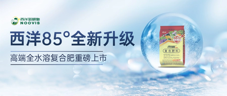 放大招！西洋85°新升级,高端全水溶火热出炉