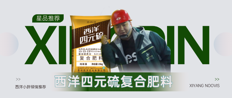 【星品推荐】西洋四元硫,10%活化硫养分、锌硼加持,种出好品质！