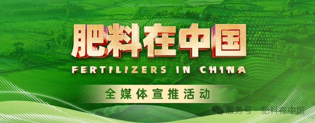西洋实业：以