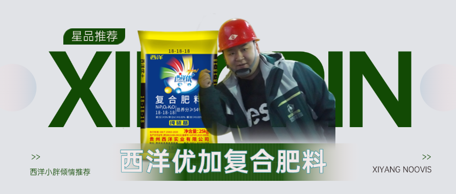 【星品推荐】肥料就选西洋优加,提质增效进万家！