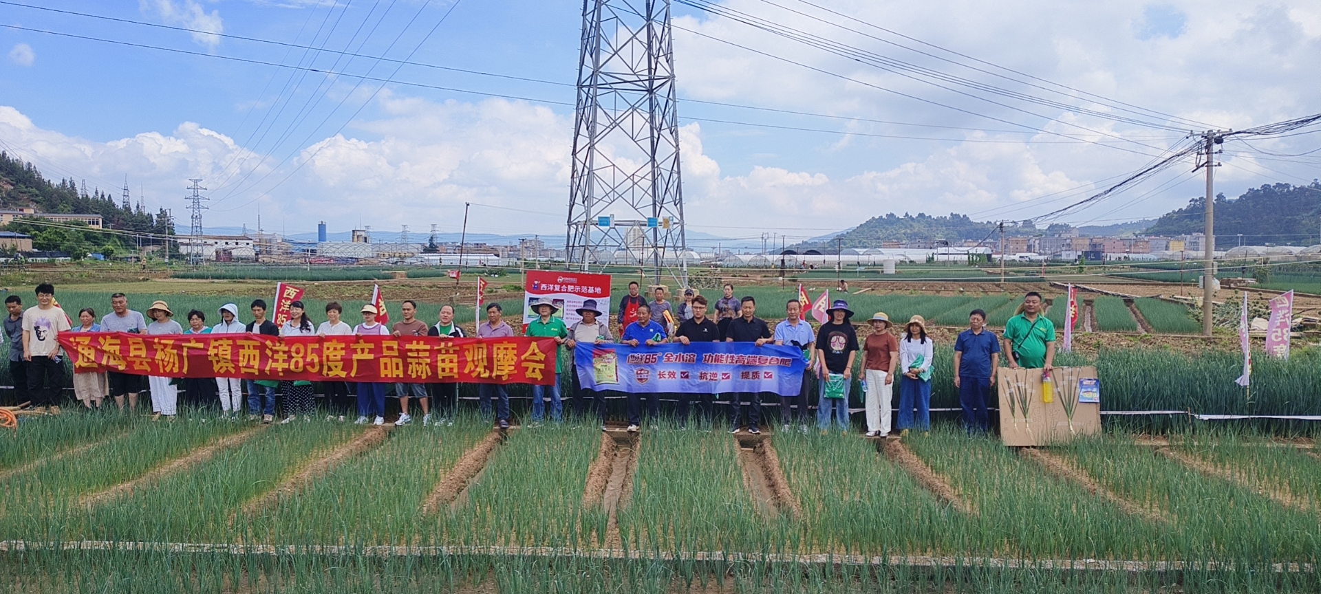 火力全开！西洋85度终端“热辣出圈”,人气高涨