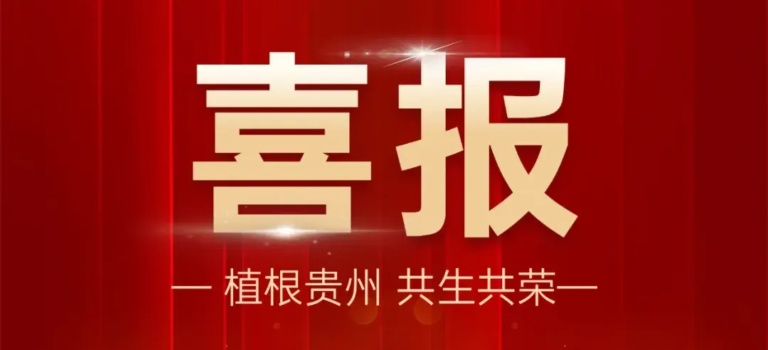 蝉联殊荣 | 西洋诺威施再登“贵州民营企业100强”榜单