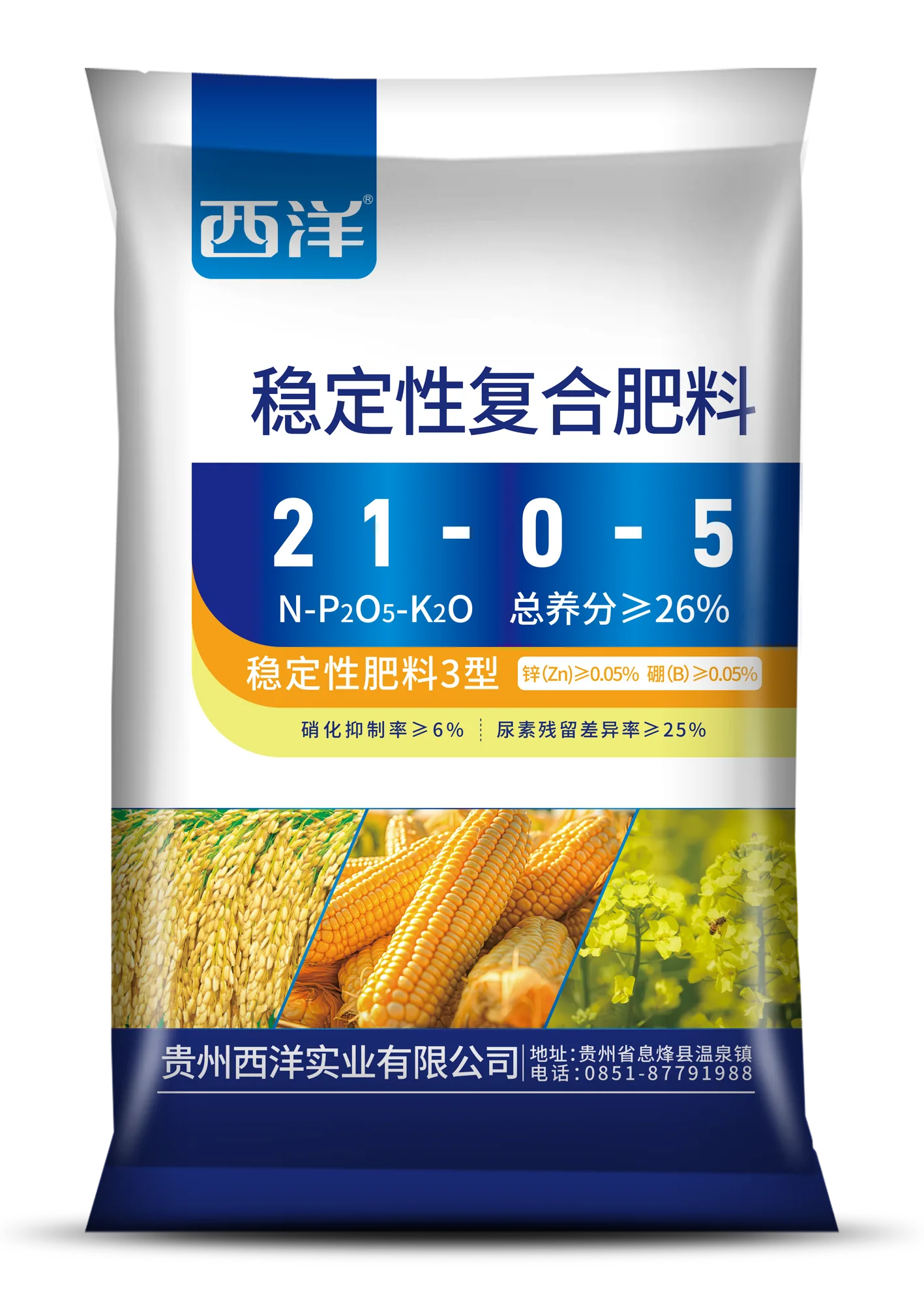 西洋（大田）