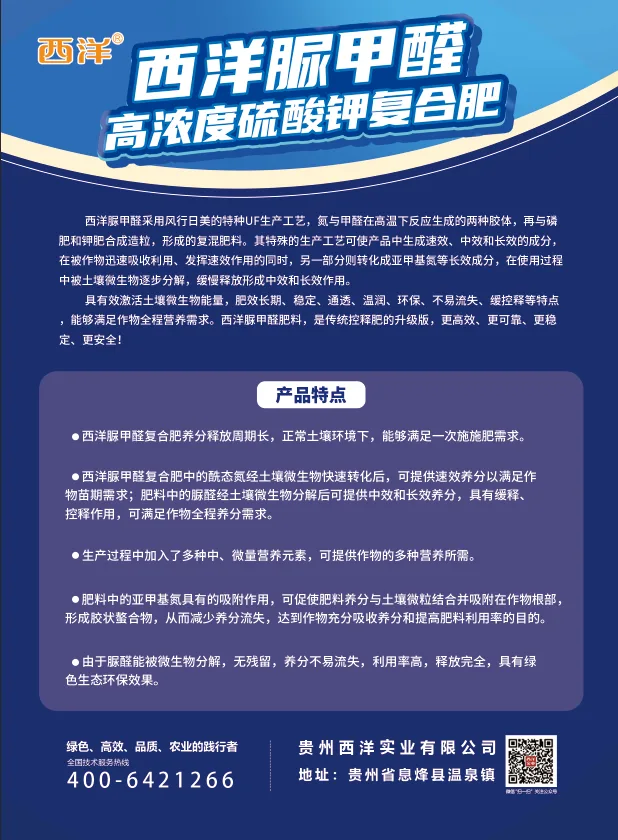 脲甲醛-单页-2.webp