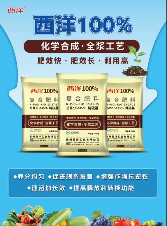西洋100%单页.webp