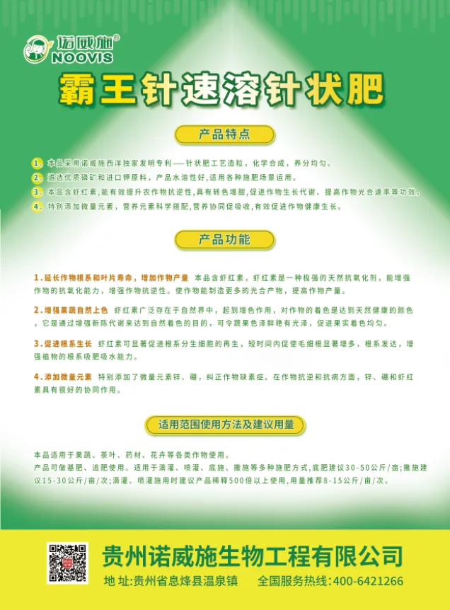 46807935.webp 单页.webp