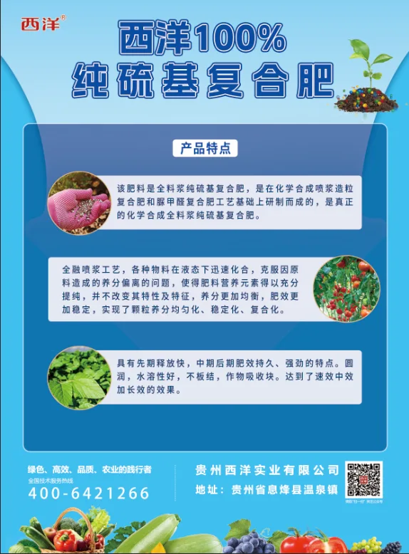 西洋100%单页-1.webp