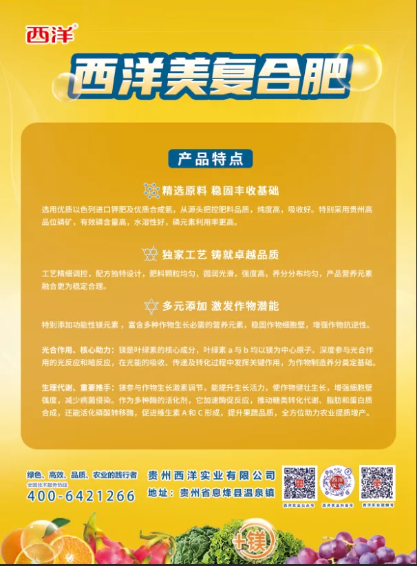 59739256.webp 单页-背面.webp
