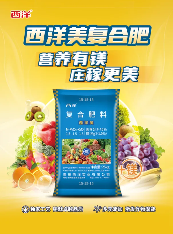 61492698.webp 单页-正面.webp