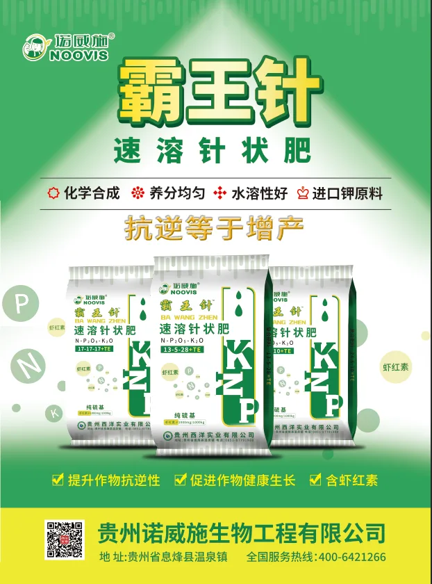 80266522.webp 单页-正面.webp