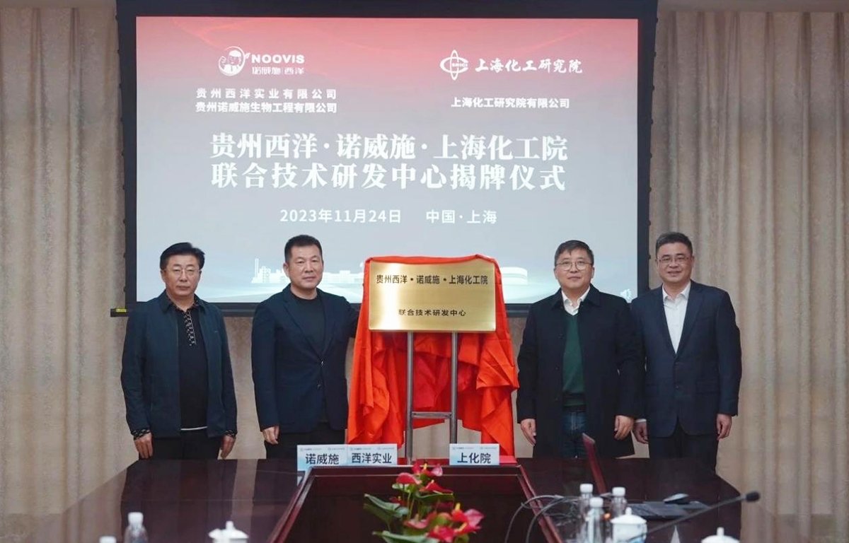 企业荣誉