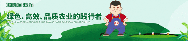 21308144.gif 640.gif