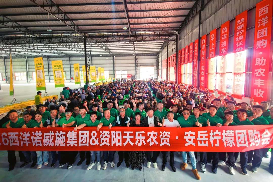 太安逸咯！追丰豹亮相“中国柠檬之都”，500种植大户团购会疯抢