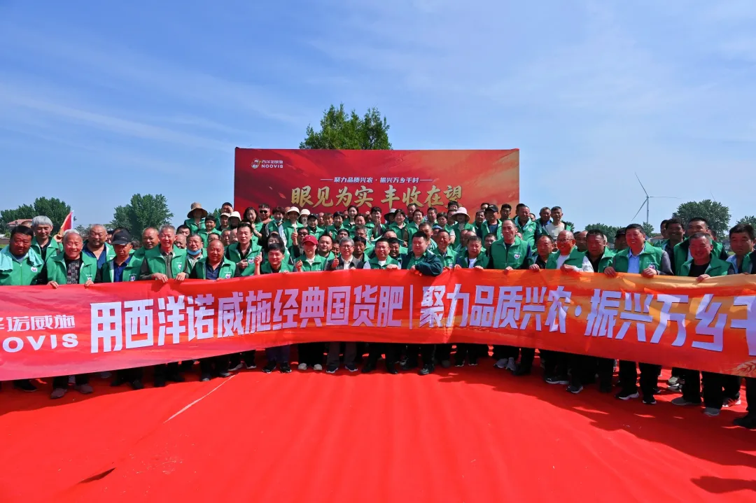 眼见为实 丰收在望｜西洋诺威施小麦观摩会开锣，数百人田间“阅卷”