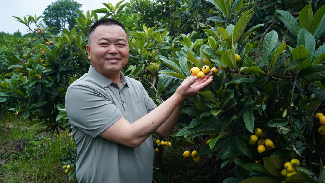 先做人，再做生意！揭秘西洋老铁杨显健的农资江湖