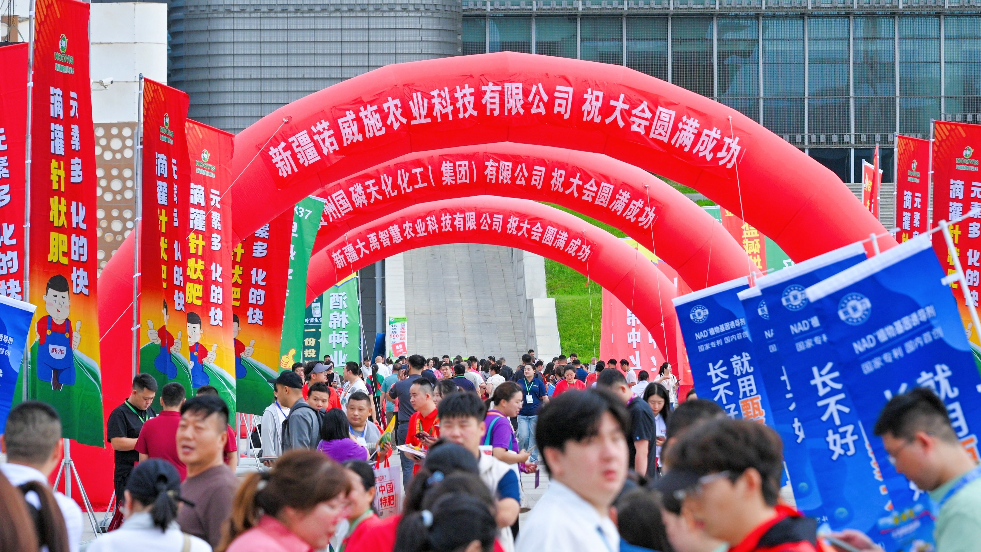 深耕新疆 以“针”破局｜诺威施针状肥亮相第24届新疆农博会