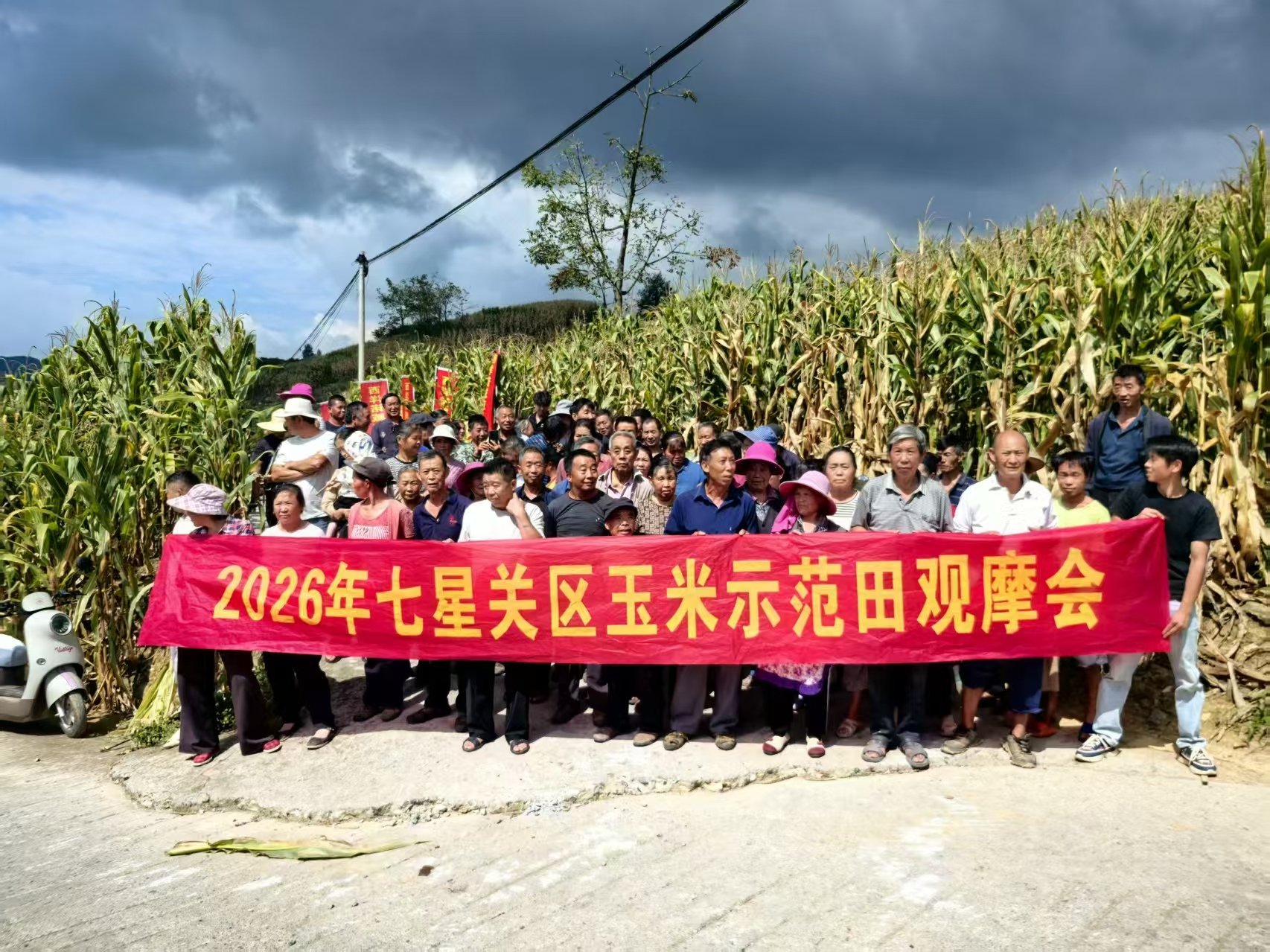 西洋长效玉米追肥受热捧！贵州多地掀起秋收观摩热潮