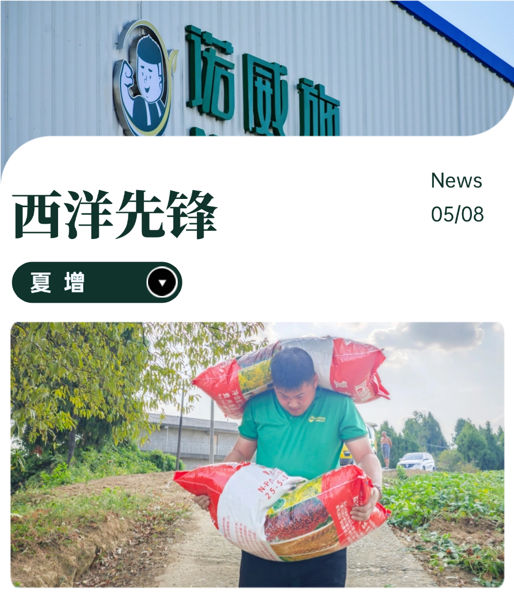 未命名.png